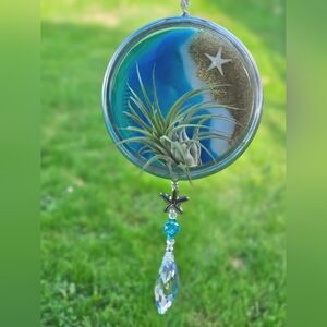 Coastal Boho Sun Catcher Air Plant Hanger